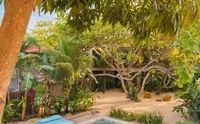 Villa Mango Jeri